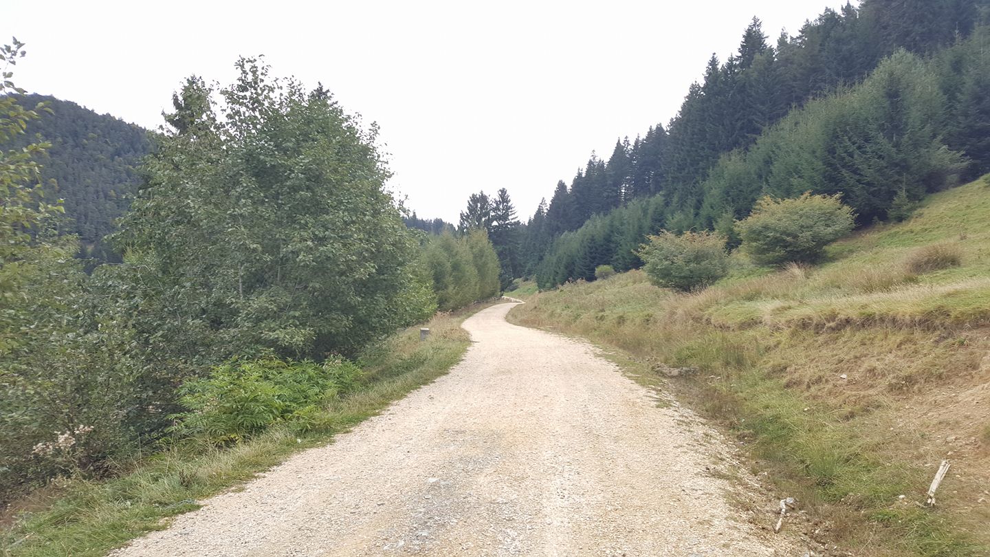 Drepturile și beneficiile pe care le au proprietarii de păduri provenite din vegetația forestieră de pe terenuri din afara fondului forestier național