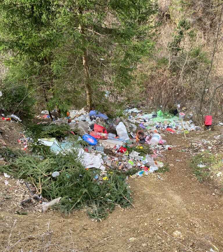 Noi acțiuni de ecologizare