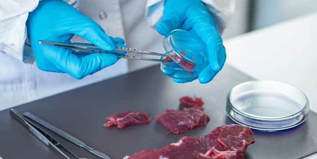Direcția Sanitar-Veterinară și pentru Siguranța Alimentelor (DSVSA) Brașov a anunțat stingerea oficială a focarului de pestă porcină la Săcele.