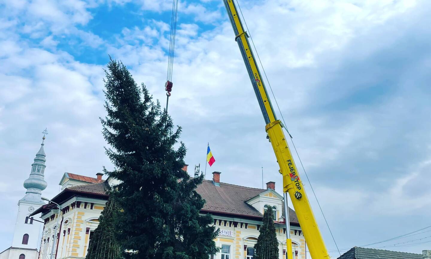 5 brazi de Crăciun anul acesta în cartierele săcelene