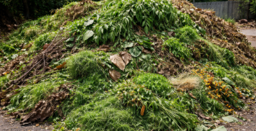 ANUNȚ RIDICARE DEȘEURI VEGETALE